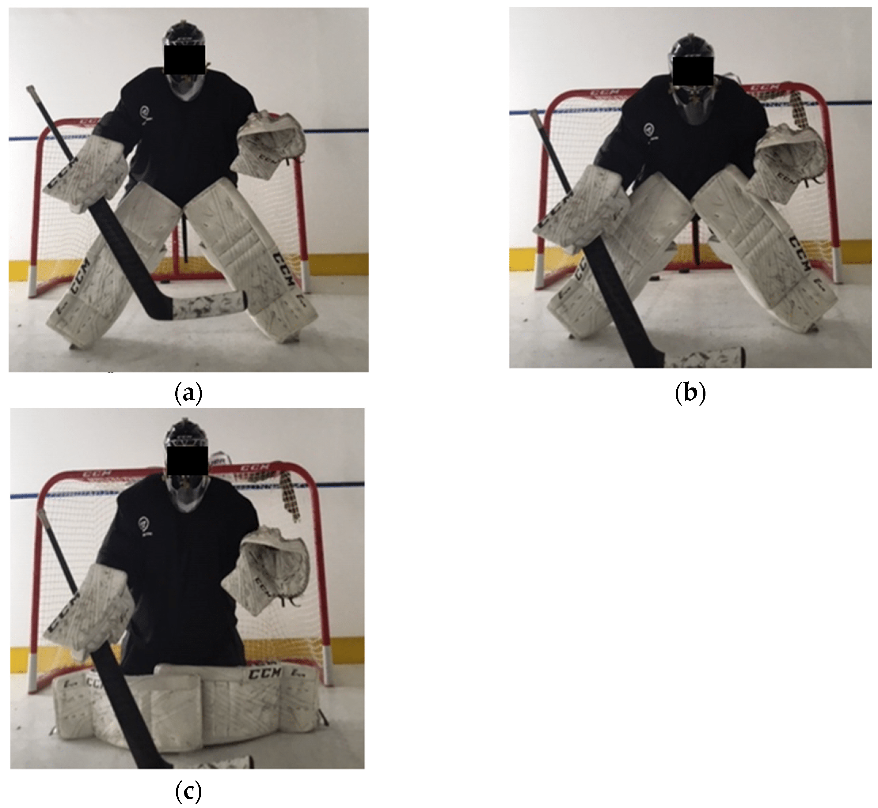 Ice Hockey Goalie Stance