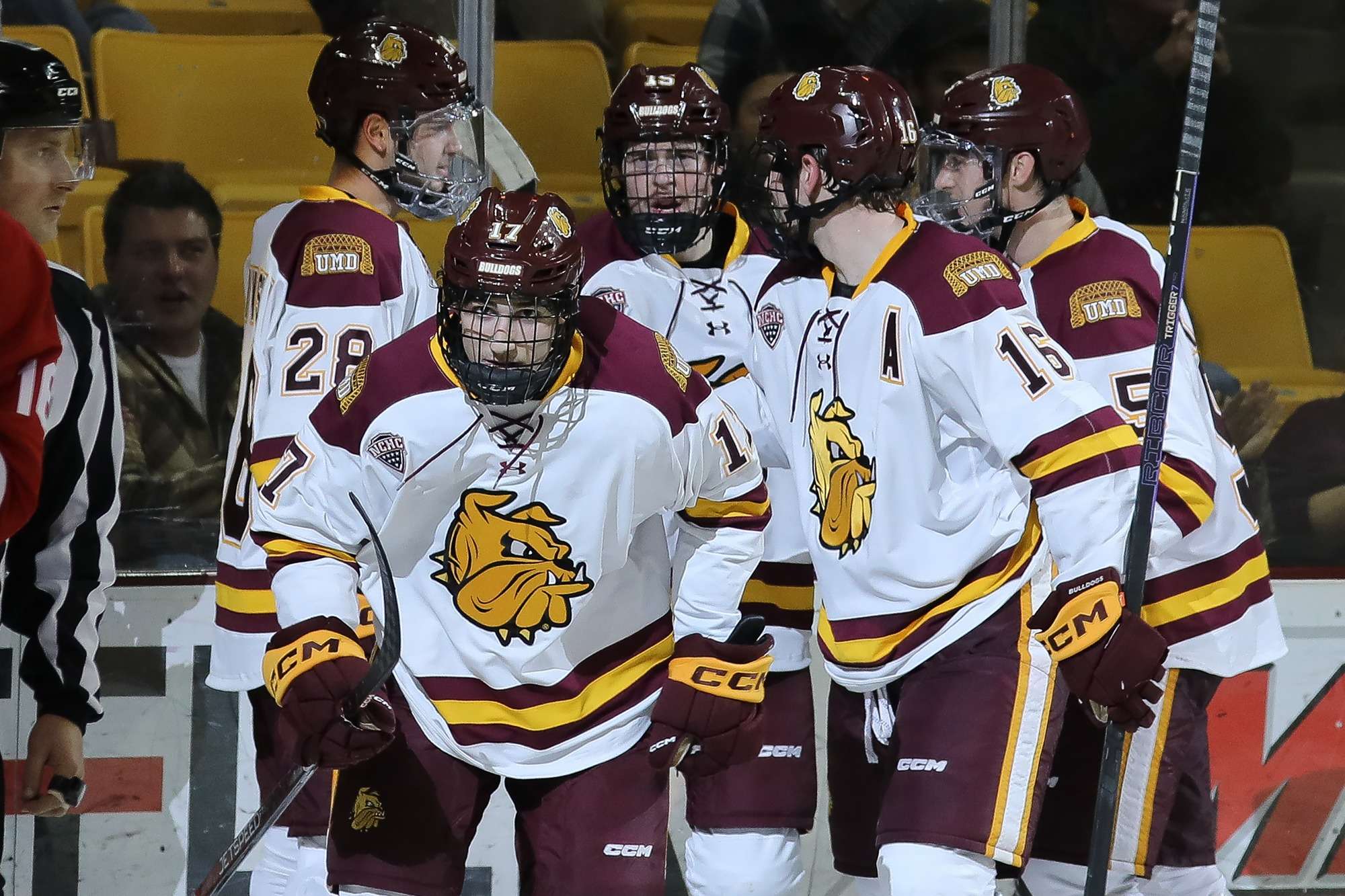 Minnesota-Duluth Bulldogs Men'S Ice Hockey