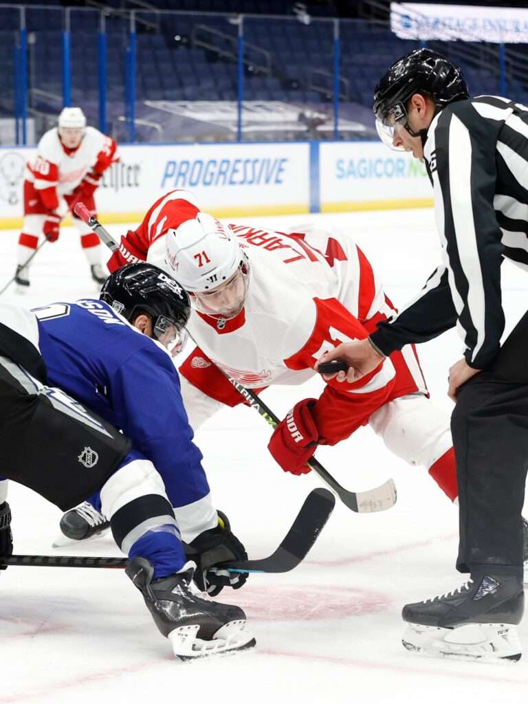 Octopus on the Ice Hockey