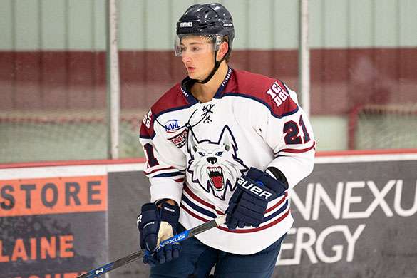 Fairbanks Ice Dogs Hockey