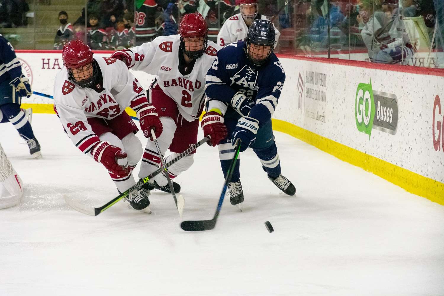 Yale Men'S Ice Hockey