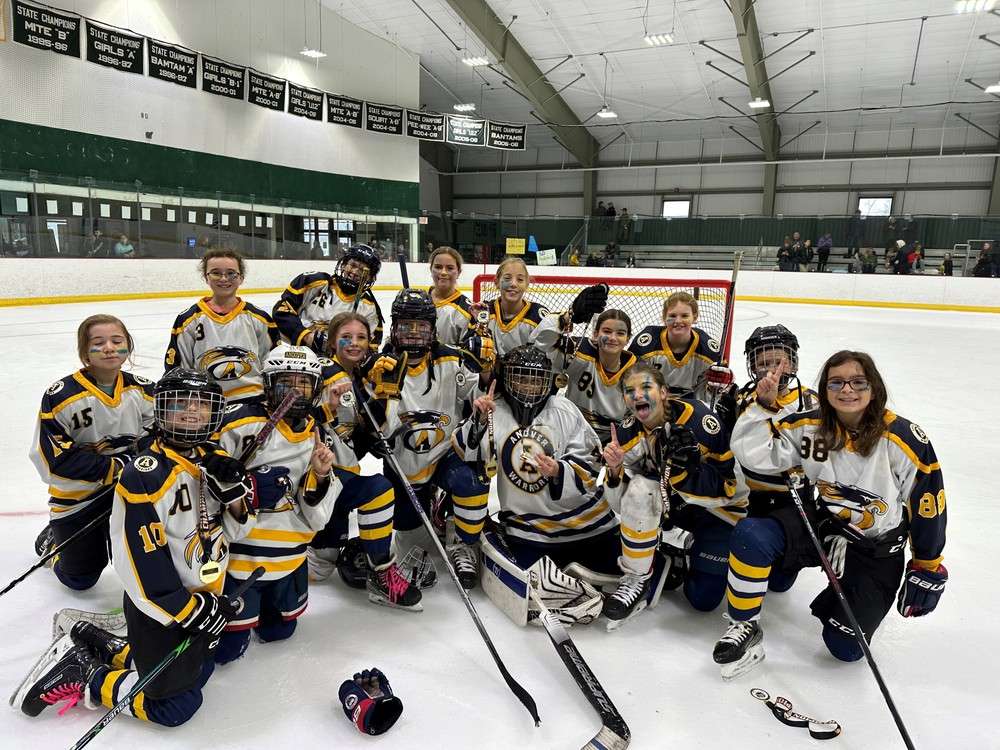 Andover Youth Hockey: Enhancing Youth Development